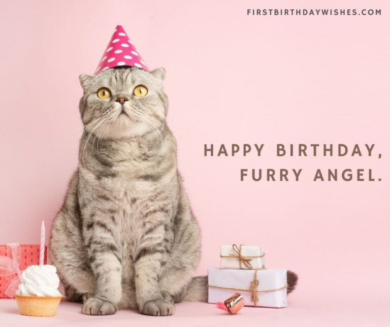 Best 200+ Birthday Wishes for Cat | Happy Birthday, Kitty!