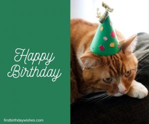 Best 200+ Birthday Wishes for Cat | Happy Birthday, Kitty!