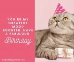 Best 200+ Birthday Wishes for Cat | Happy Birthday, Kitty!